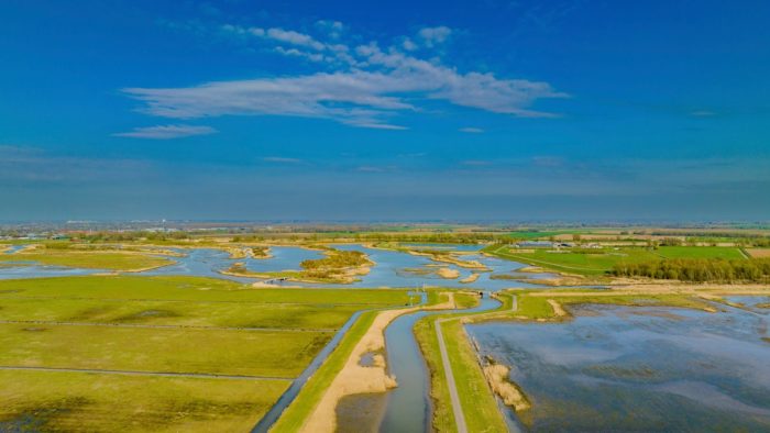 Natuurbescherming onder de Omgevingswet